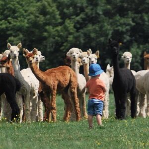 Basic Husbandry Course